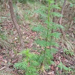 Unverified at suppressed - suppressed