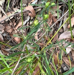 Unverified at suppressed - suppressed