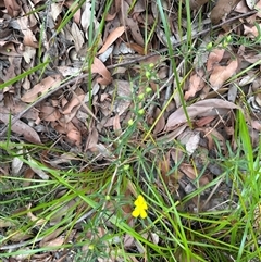 Unverified at suppressed - suppressed