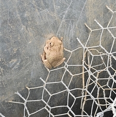 Unverified at suppressed - suppressed