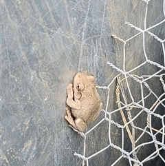 Unverified at suppressed - suppressed