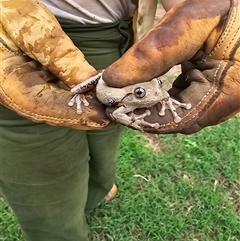 Unverified at suppressed - suppressed