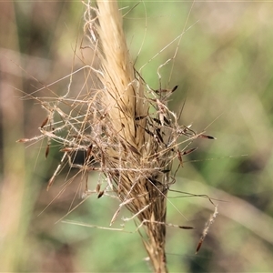 Unidentified at suppressed - 2 Dec 2024