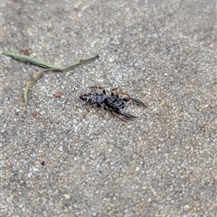 Unverified at suppressed - suppressed