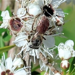 Unverified at suppressed - suppressed