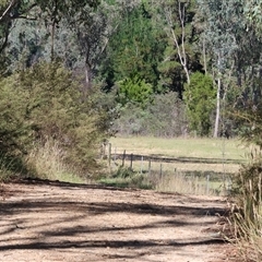 Unverified at suppressed - suppressed