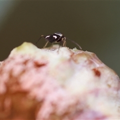 Unverified at suppressed - suppressed