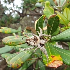 Unverified at suppressed - suppressed