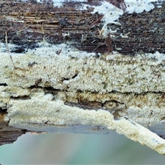 Unverified at suppressed - suppressed