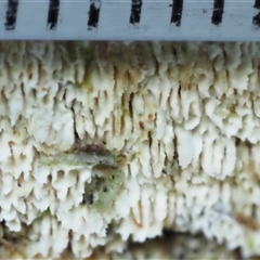 Unverified at suppressed - suppressed