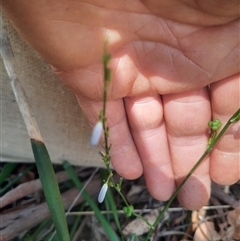 Unverified at suppressed - suppressed