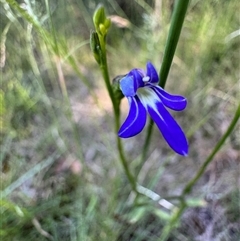 Unverified at suppressed - suppressed