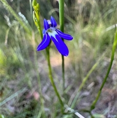 Unverified at suppressed - suppressed