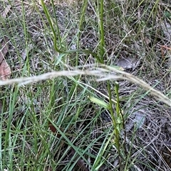 Unverified at suppressed - suppressed