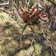 Unverified at suppressed - suppressed