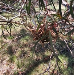 Unverified at suppressed - suppressed