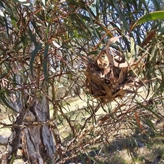 Unverified at suppressed - suppressed