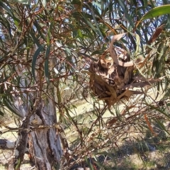 Unverified at suppressed - suppressed