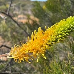 Unverified at suppressed - suppressed