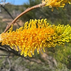 Unverified at suppressed - suppressed