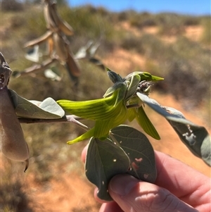 Unidentified at suppressed - 20 Sep 2024