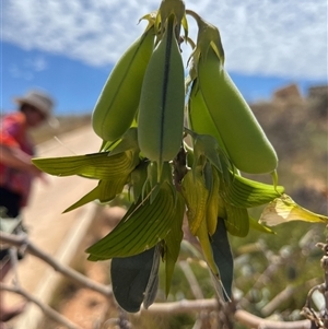 Unidentified at suppressed - 20 Sep 2024