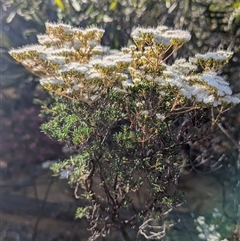 Unverified at suppressed - suppressed