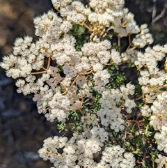 Unverified at suppressed - suppressed