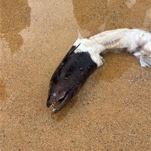 Unverified at suppressed - suppressed