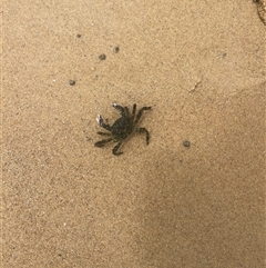 Unverified at suppressed - suppressed