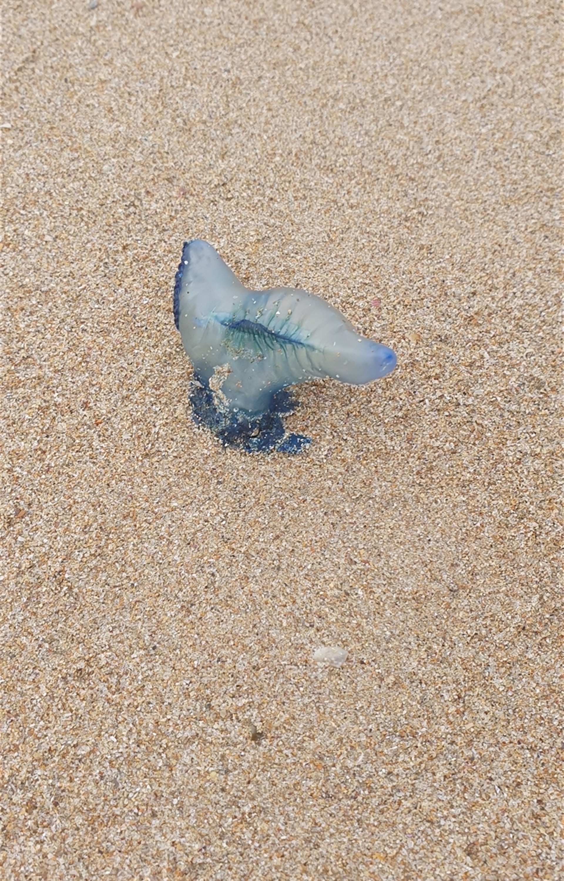 Unverified at suppressed - suppressed