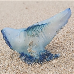 Unverified at suppressed - suppressed