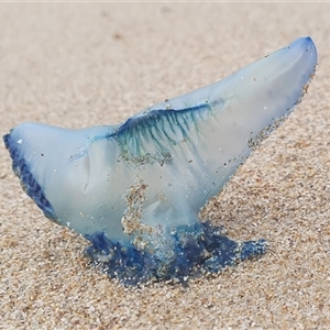 Unverified at suppressed - suppressed