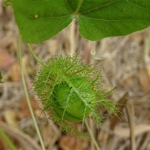 Unidentified at suppressed - 18 Sep 2024