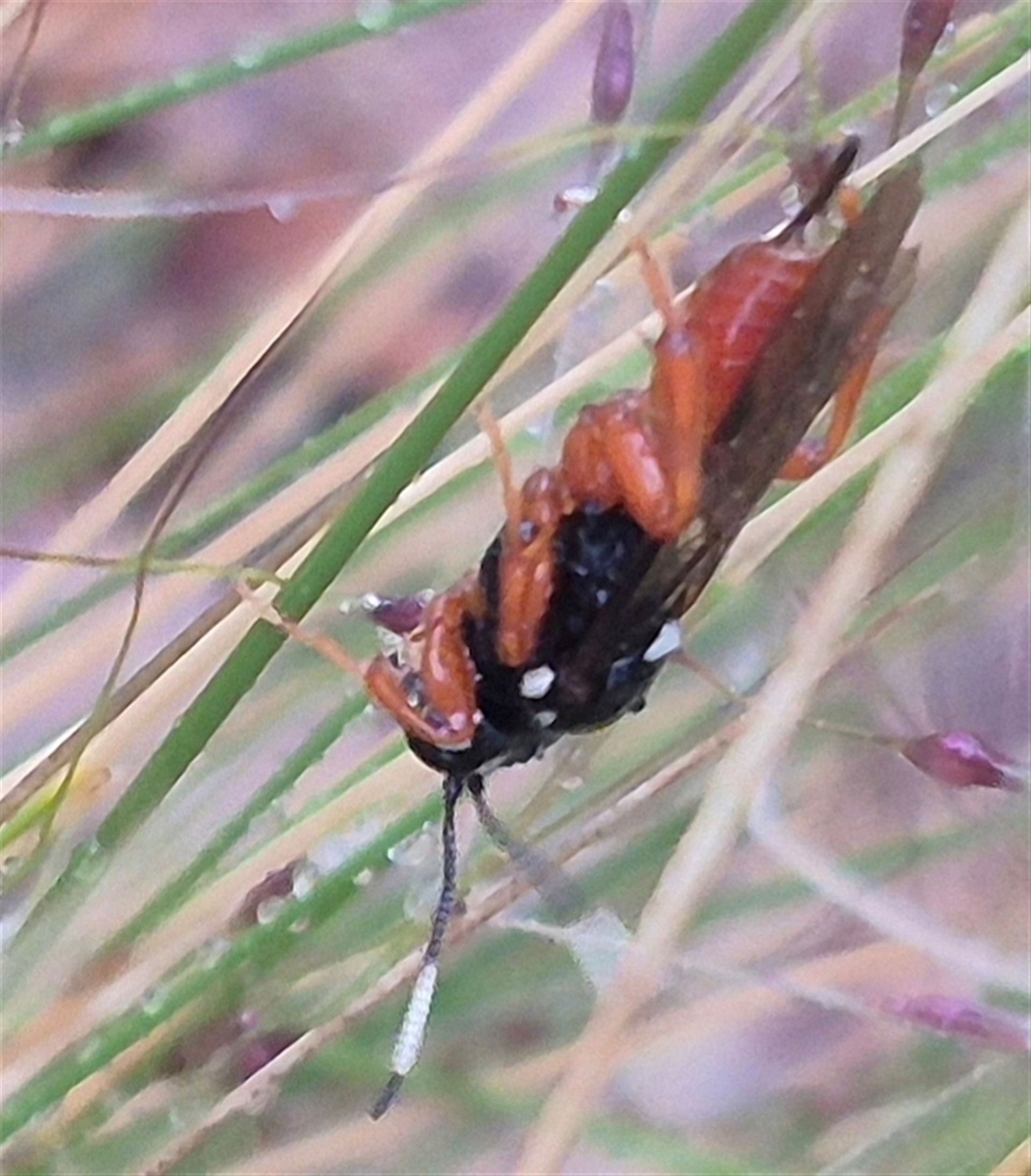 Unverified at suppressed - suppressed