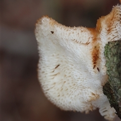 Unverified at suppressed - suppressed