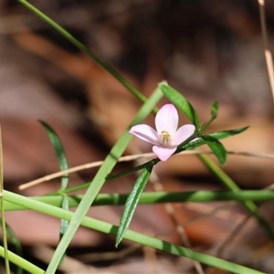 Unidentified at suppressed - 10 Dec 2024