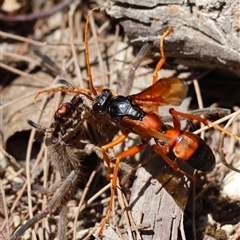 Unverified at suppressed - suppressed