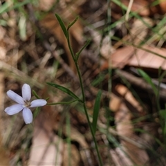 Unverified at suppressed - suppressed