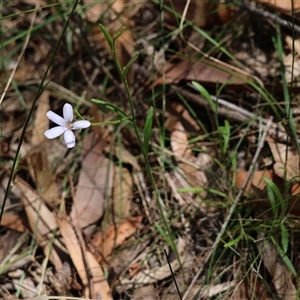 Unidentified at suppressed - 10 Dec 2024