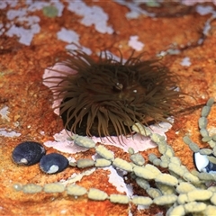 Unverified at suppressed - suppressed