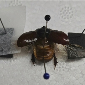 Unverified at suppressed - suppressed