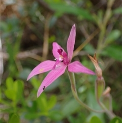 Unidentified at suppressed - 15 Oct 2024