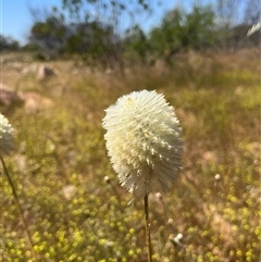 Unverified at suppressed - suppressed