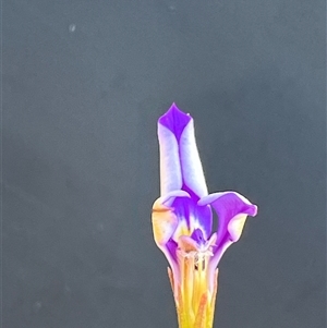 Unverified at suppressed - suppressed