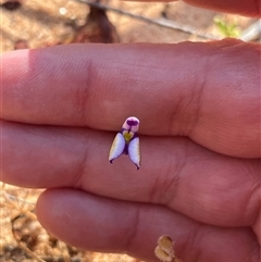 Unverified at suppressed - suppressed