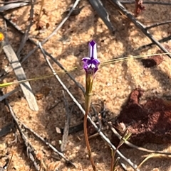 Unverified at suppressed - suppressed