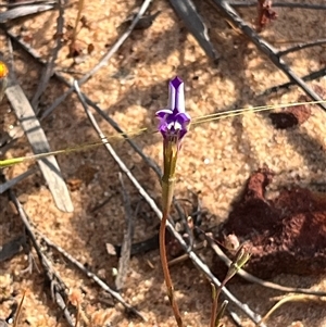 Unverified at suppressed - suppressed