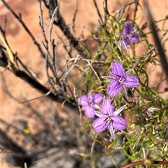 Unverified at suppressed - suppressed