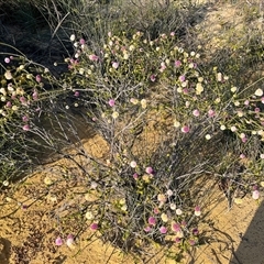 Unverified at suppressed - suppressed